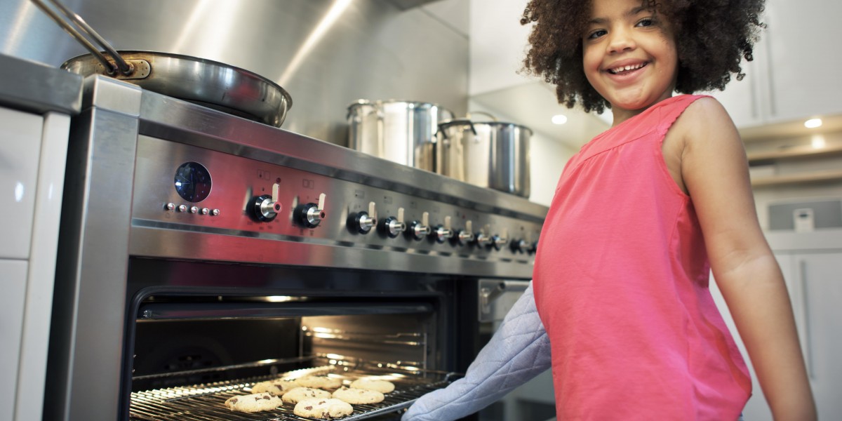 The 10 Scariest Things About Cooker Integrated