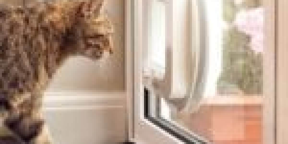 What Are The Reasons You Should Be Focusing On Improving Cat Door Installation
